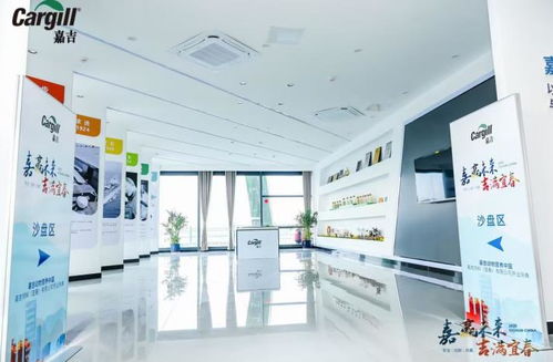 从设计到搭建，九星展台特装如何重新定义上饶展会的价值？